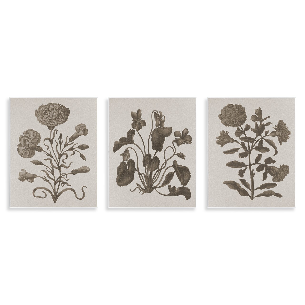 Stupell Industries Vintage Country Botanicals 3pc Wall Plaque Art Set Design by Lil' Rue